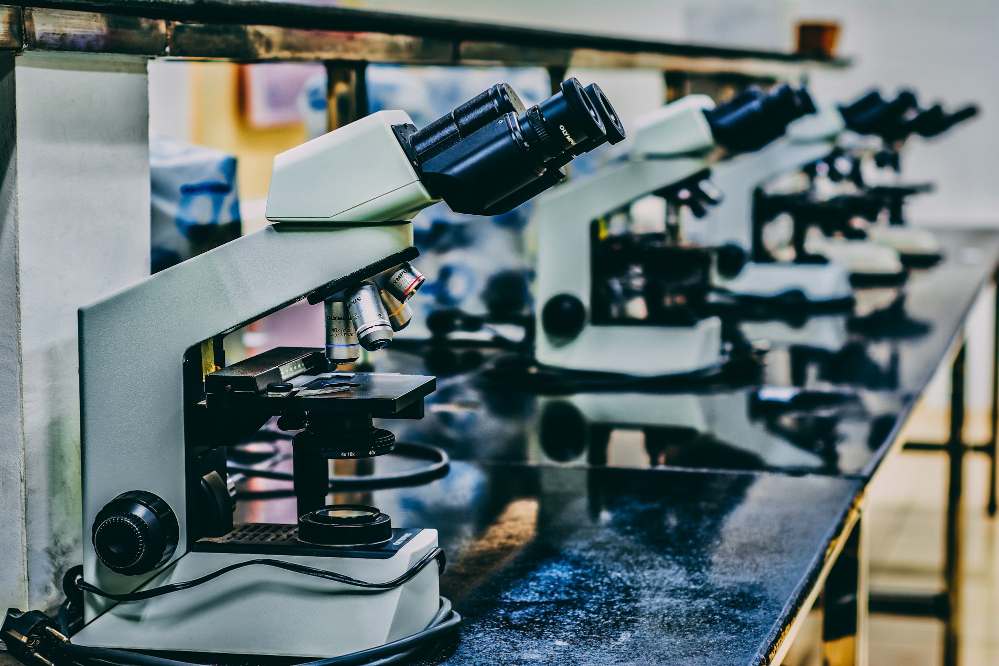 Row of microscopes on a laboratory bench